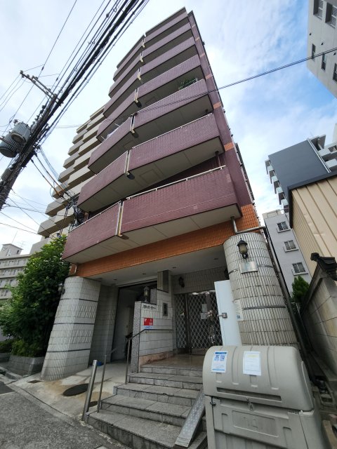 パティオ・イトー
