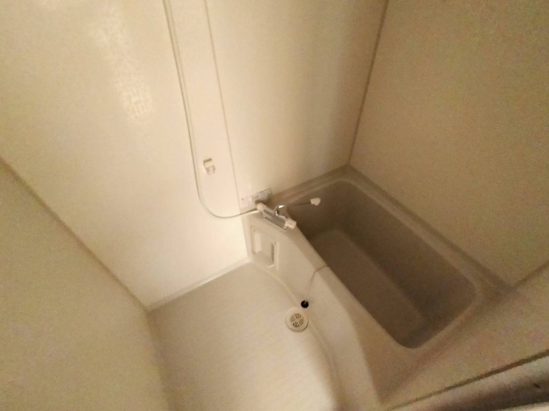 バス バス