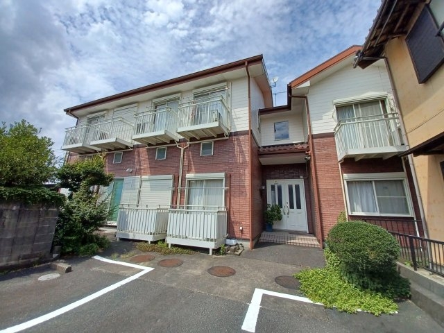 ベル・アンダーソン