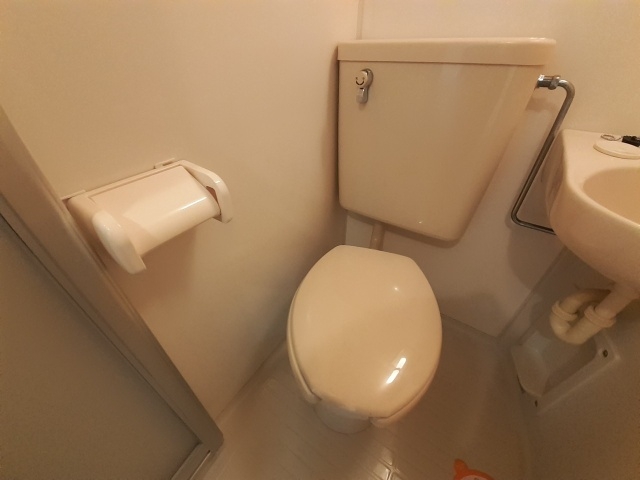 同タイプの画像です 同タイプの画像です