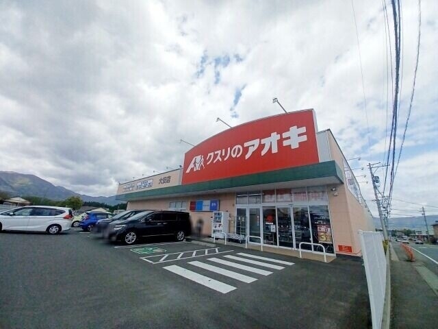 クスリのアオキ大安店 クスリのアオキ大安店