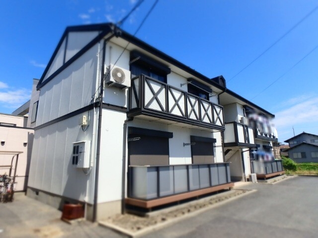 フレグランスオオクラの外観