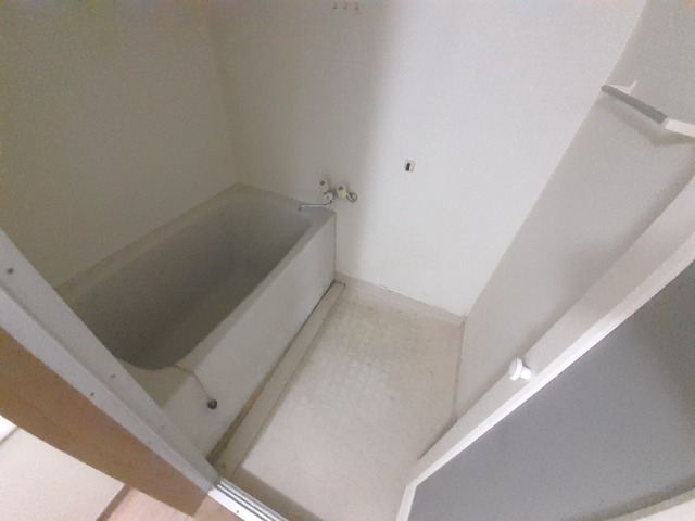 バス バス