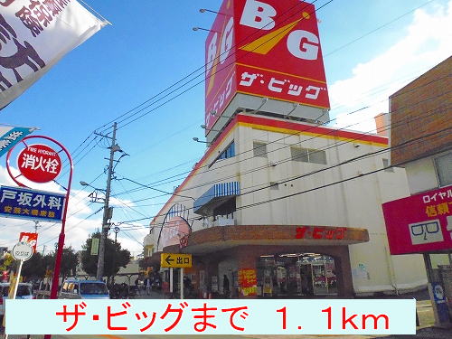 ザビッグ