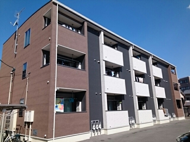 フィデール　庚午