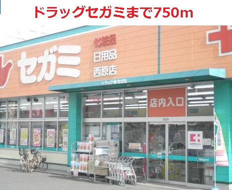 ドラッグセガミ