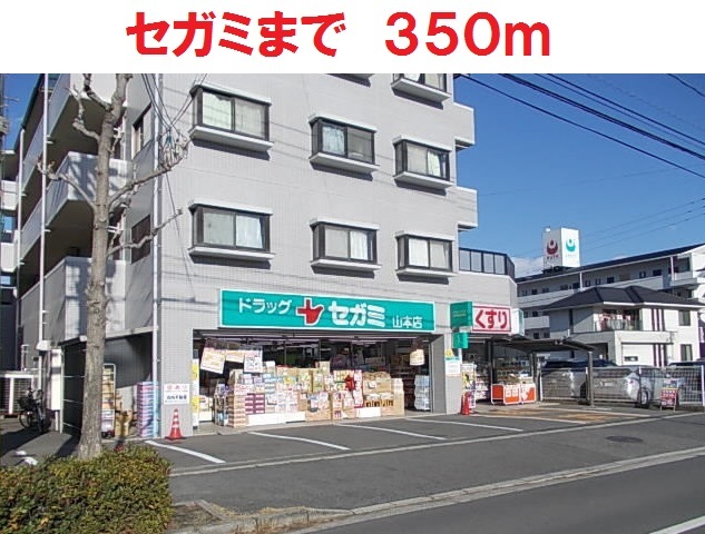 ドラッグ　セガミ
