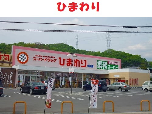 スパードラッグひまわり