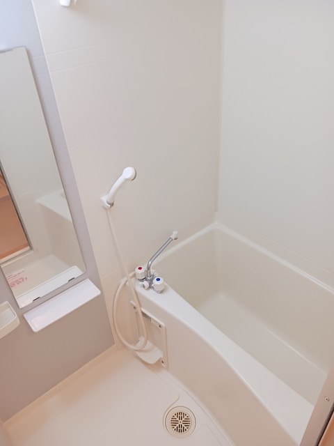 バス