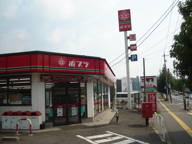 ポプラ