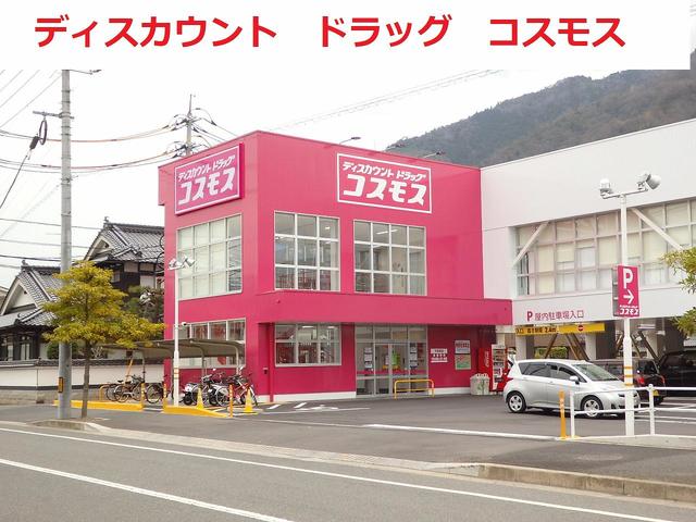 コスモス