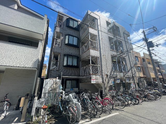 コーニッシュアビコ１