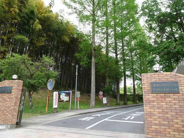 滋賀大学教育学部