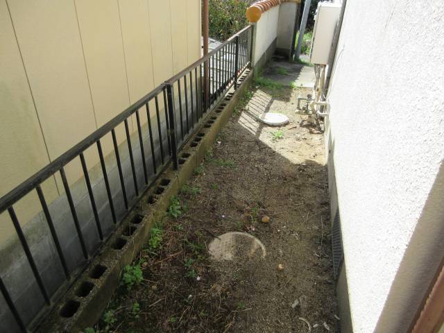 庭