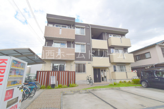 グラジオラスの外観