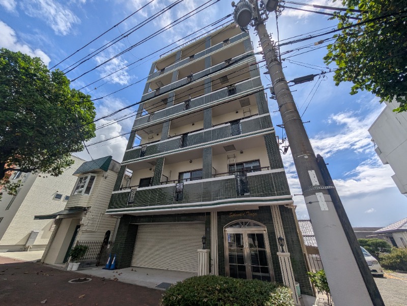 Ｓｐｌｅｎｄｉｄ　Ｔｓｕｚａの外観
