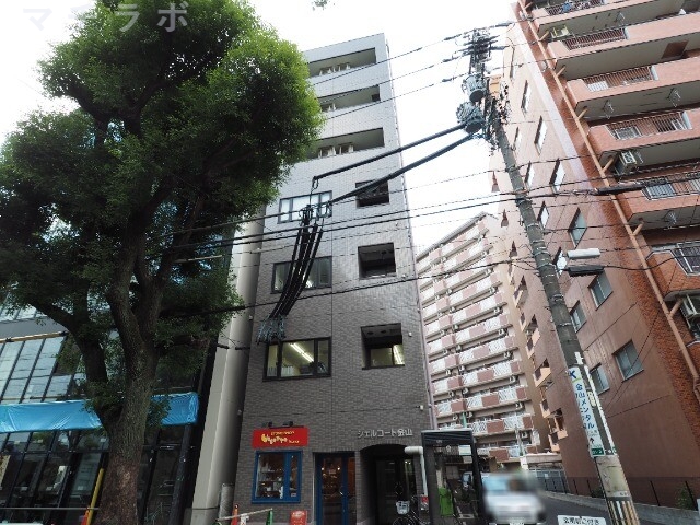 シェルコート金山