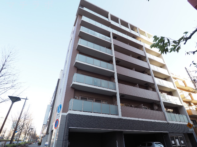 セレブレイト葵