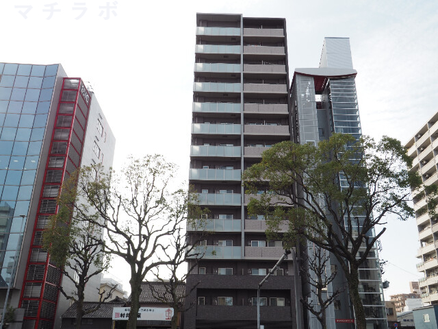 ＳＤ　Ｃｏｕｒｔ　Ｋａｎａｙａｍａ