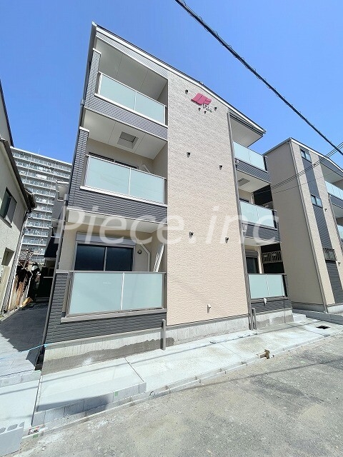 Ｆ　ａｓｅｃｉａ　ａｓｃｅｌｌａの外観