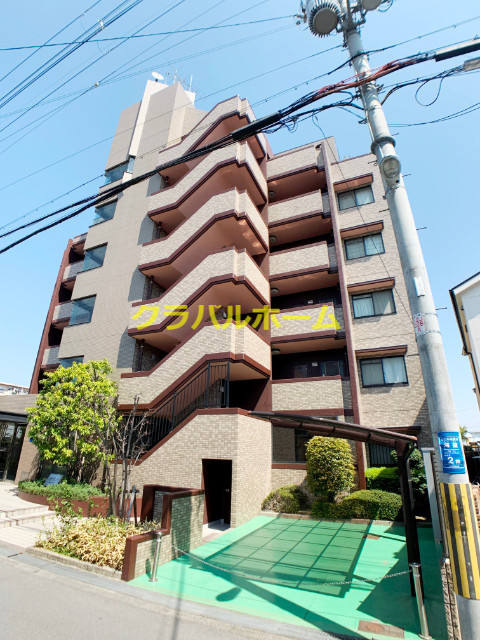メルヴェーユコマドリの外観