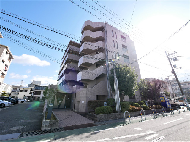 ハイム矢納の外観 ハイム矢納の外観