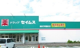 ドラッグセイムス ドラッグセイムス