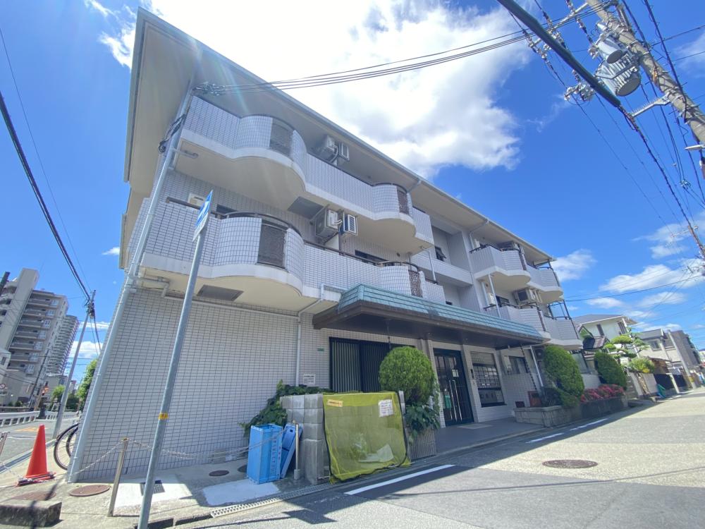 ステラハウス43