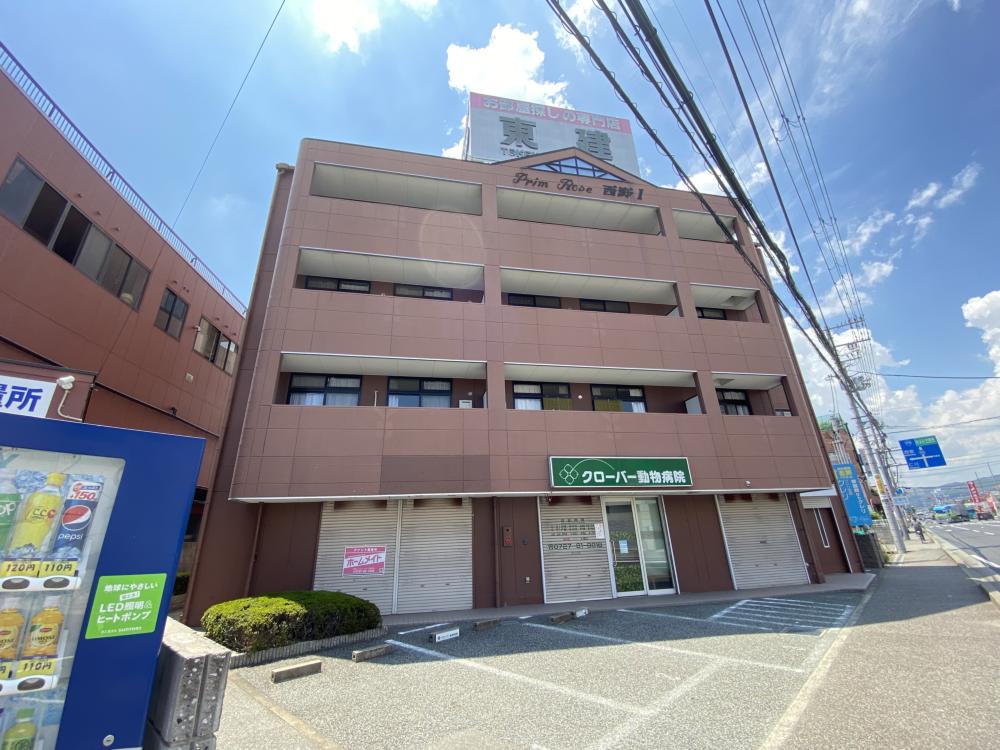 プリムローズ西野