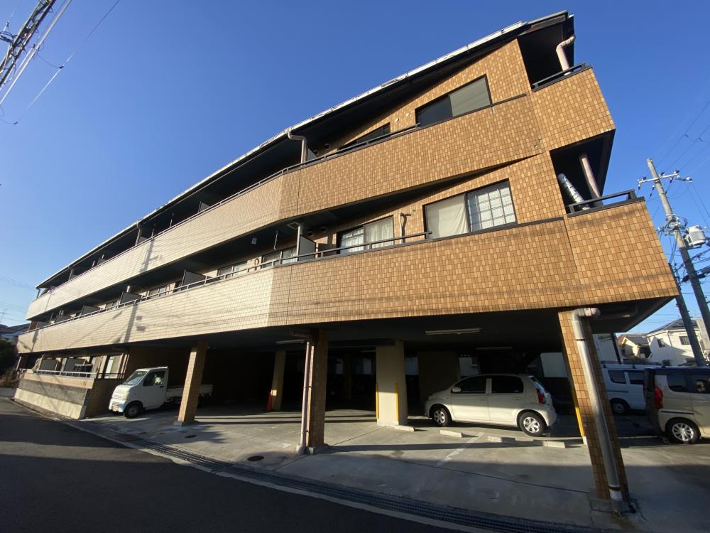 マーサ南野