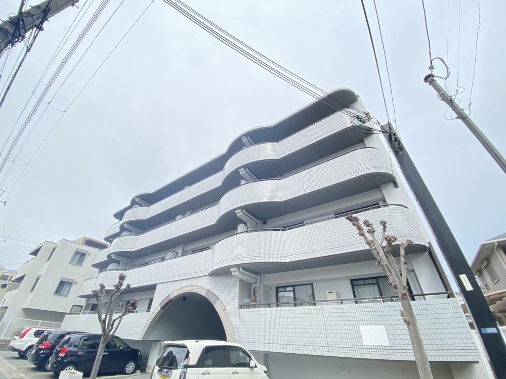 アムール東和