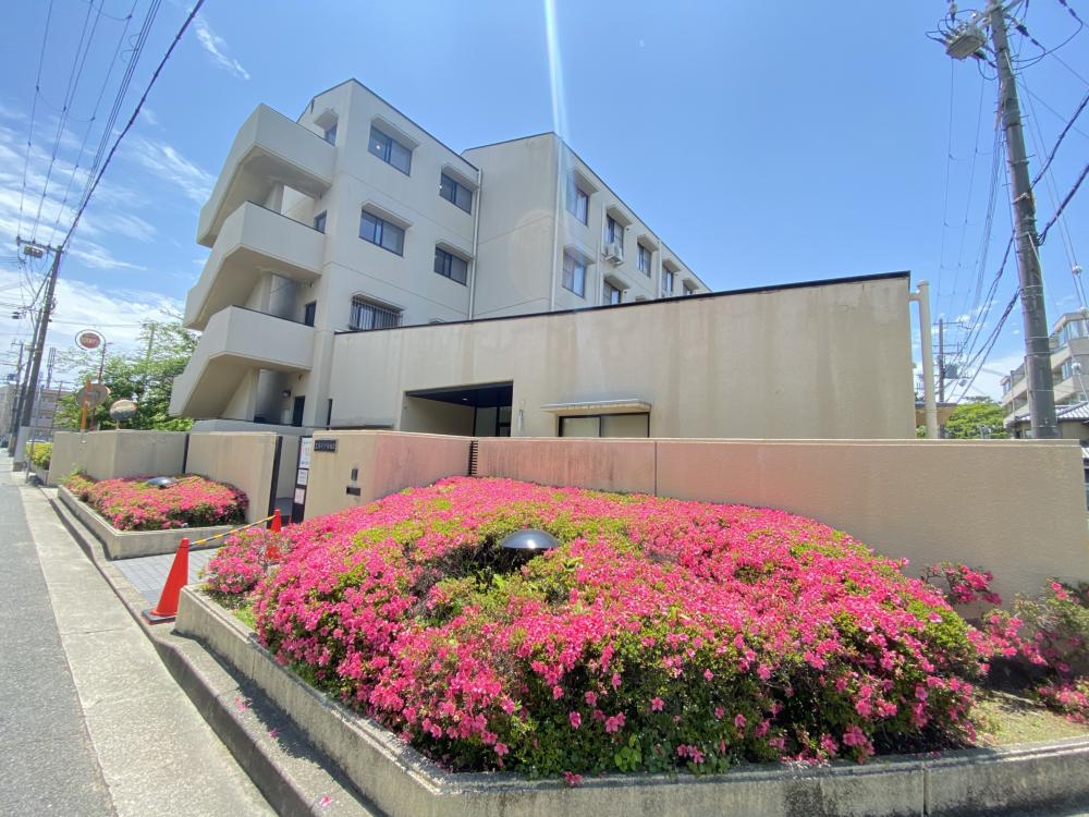 エルマーナ香枦園