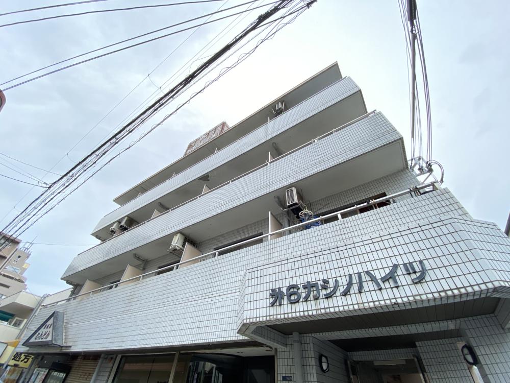 第6カシノハイツ