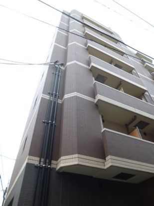 ベルグレードOM