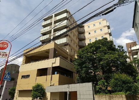 セルティスコート
