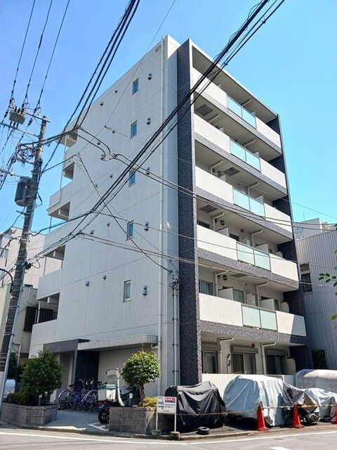 カミーノ KS