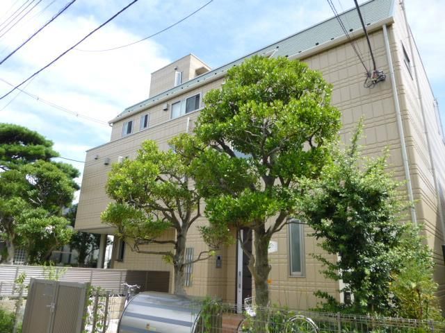 メイプル　コート　駒沢