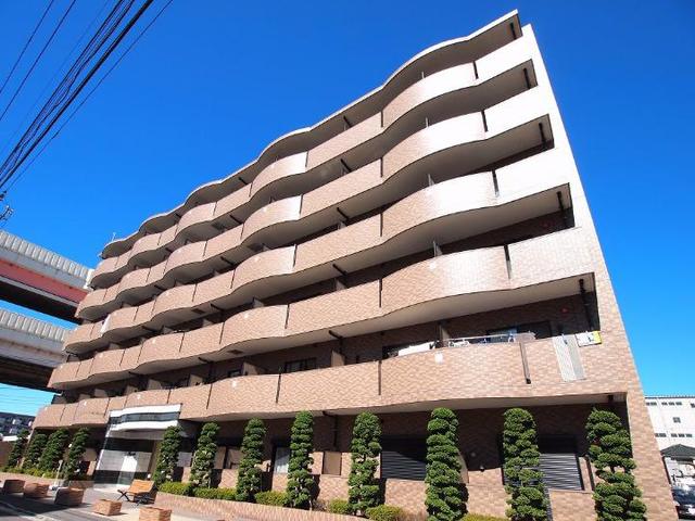 プラシード