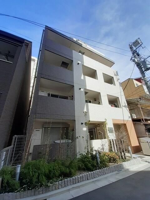 GREEN  GROVE