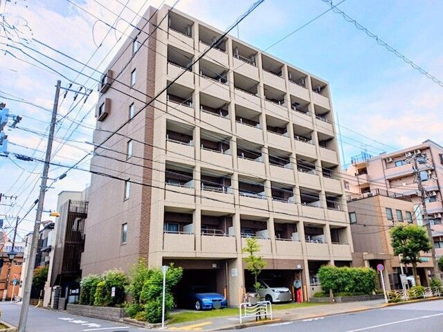 イーリス　ニシオオジマ