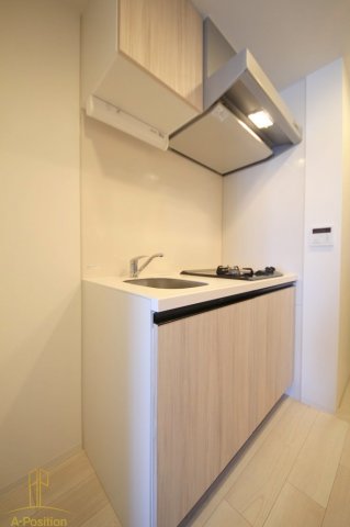 レジュールアッシュ九条II