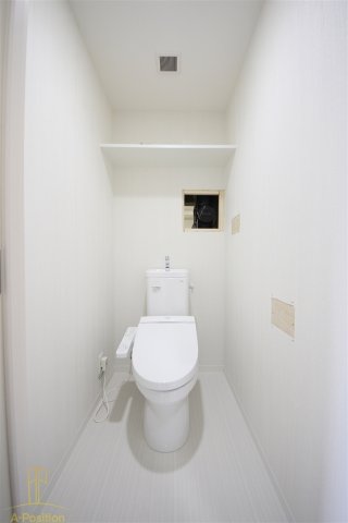 ハナミズキ福島