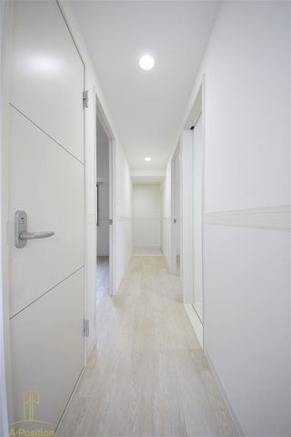 ハナミズキ福島