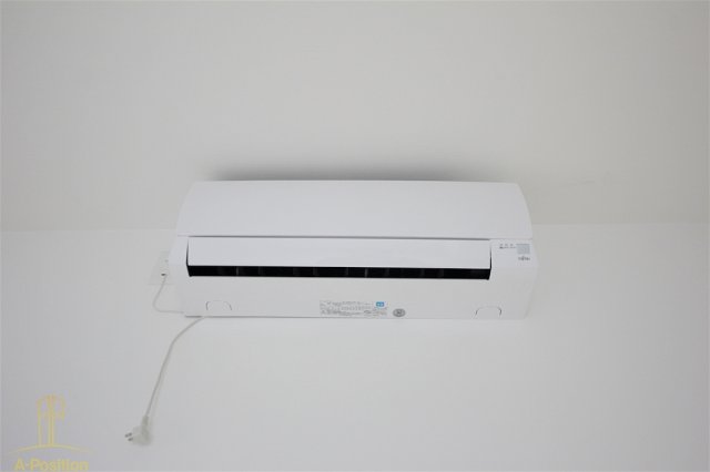 ハナミズキ福島