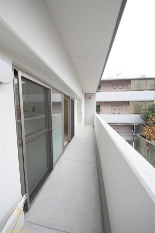 ハナミズキ福島