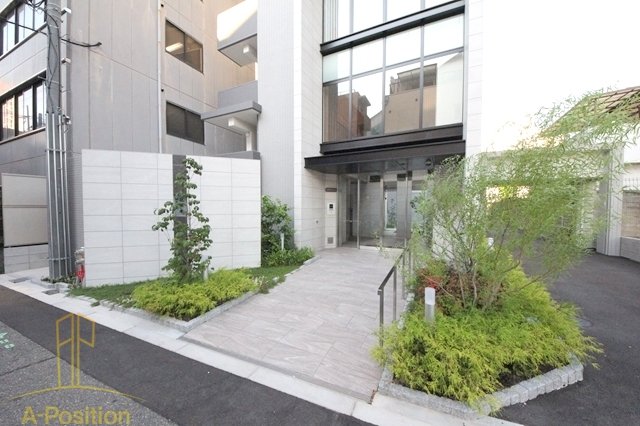 ハナミズキ福島