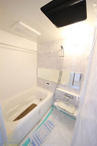 ハナミズキ福島