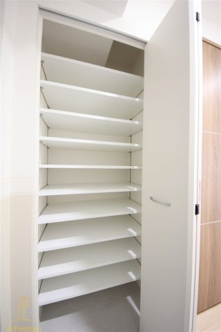 ハナミズキ福島