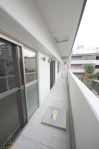 ハナミズキ福島