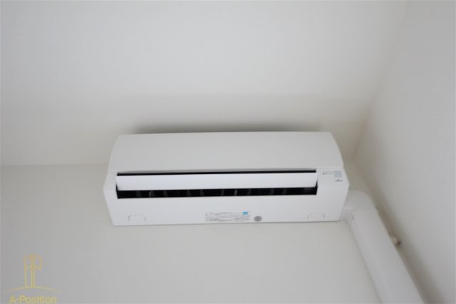 ハナミズキ福島